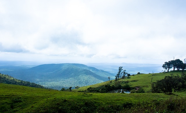 员参与配合 员参与配合