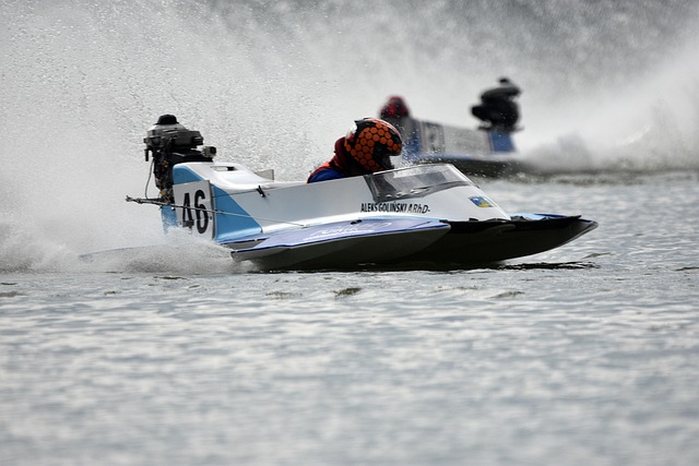 的评判不应 的评判不应