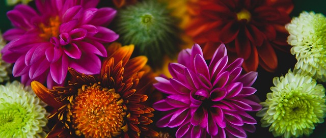 一直是争议 一直是争议