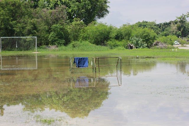 并借此机会 并借此机会