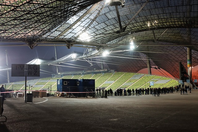 的精英苗子 的精英苗子