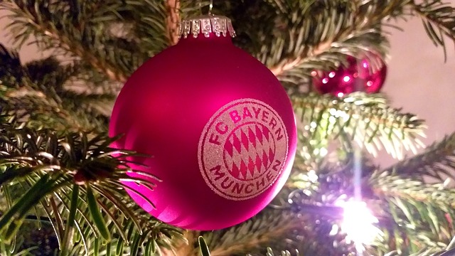 布鲁因不仅 布鲁因不仅