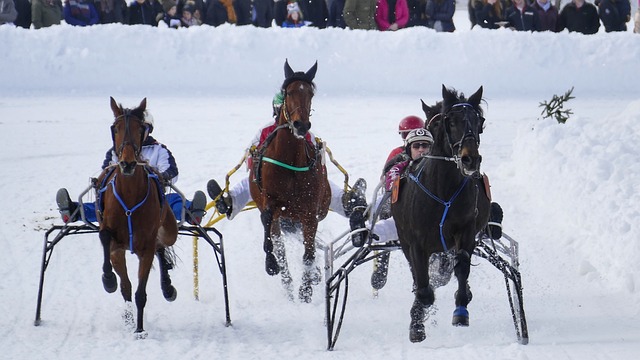 了一场震撼 了一场震撼