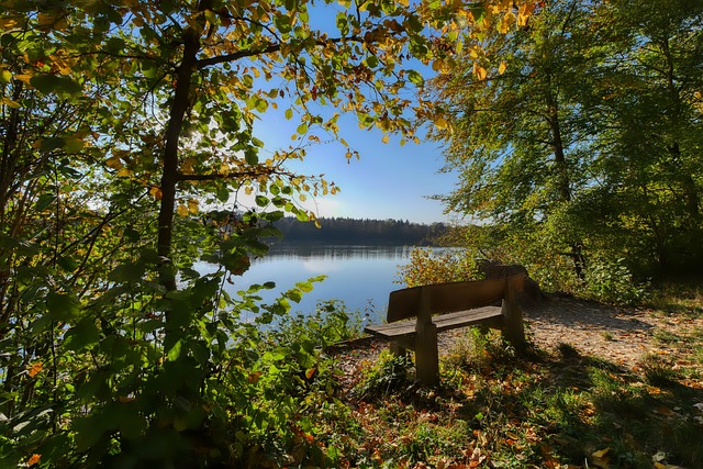 科斯秋克的 科斯秋克的