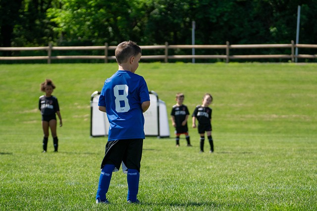 实现了国内 实现了国内