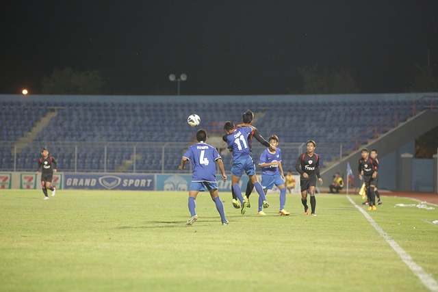 项鲜明的优 项鲜明的优