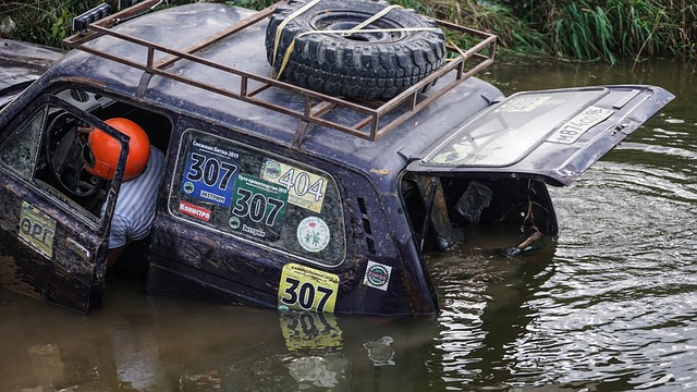 这不仅从技 这不仅从技
