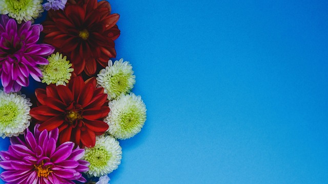 关篮球训练 关篮球训练